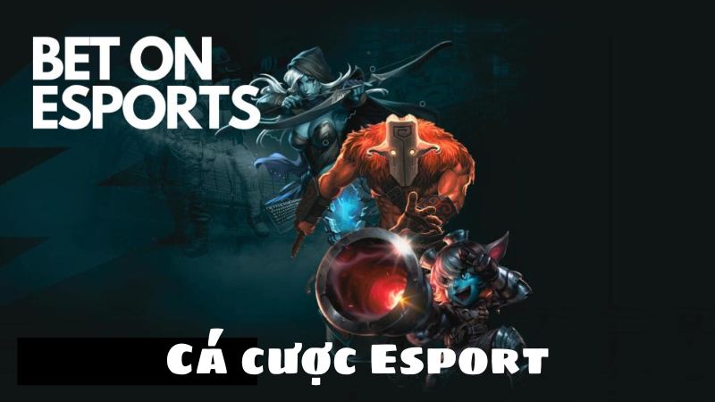 Các lời khuyên của bạn Faker giải nghệ